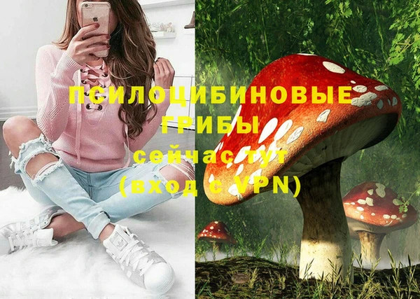 PSILOCYBIN Балахна